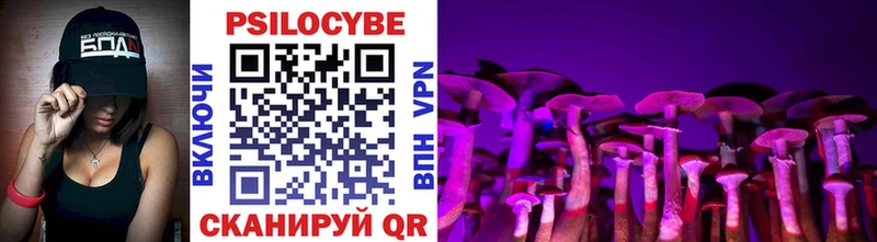 Псилоцибиновые грибы Psilocybe  Купить где  Ревда 